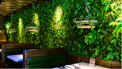 辽宁启用新版食品餐饮监管系统